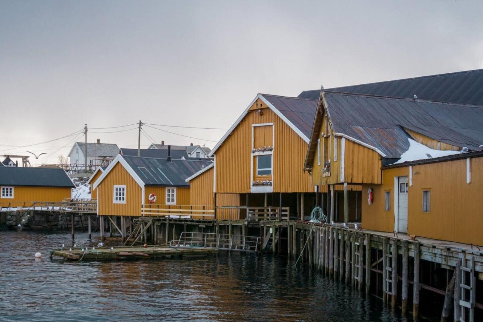 Explorers Cabin Lofoten Edge Сёрвоген Экстерьер фото